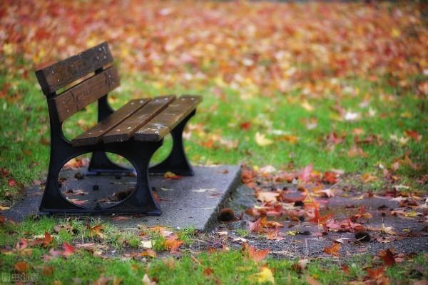 於深冬嚴寒處，感知春的到來&mdash;&mdash;臘八節隨想