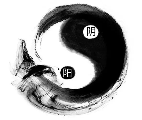 中藥淺說——一味肉桂引火歸元,解決你的上熱下寒 中藥淺說——一味肉桂引火歸元,解決你的上熱下寒