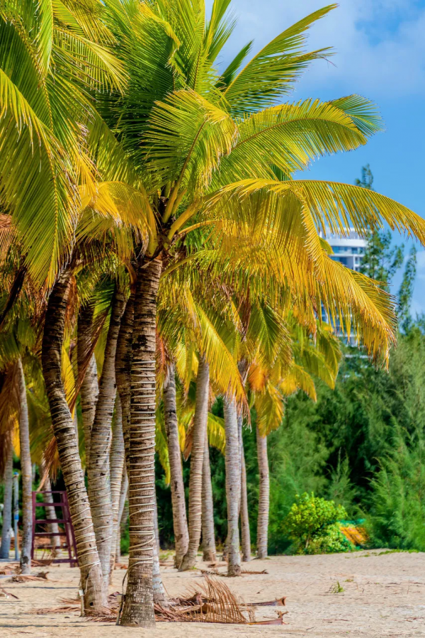 預測！2022必火的自駕旅行清單！先收藏