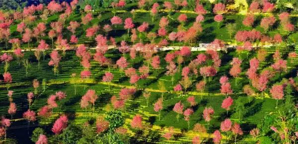 抓住年末的尾巴，計劃一場“冬日旅行”，不然又要拖到明年啦