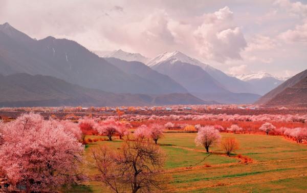 請接受不完美的現實