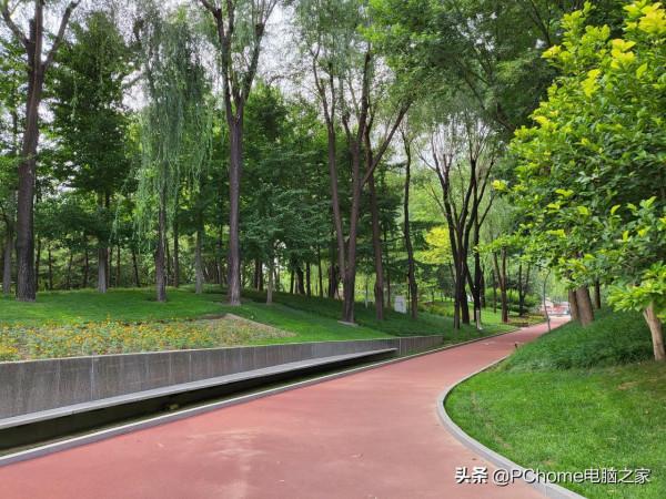 三星Galaxy Z Flip3 5G體驗 立式互動模式告別手持