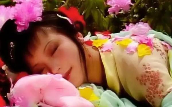 金陵十二釵:紅樓一夢,香消玉殞 金陵十二釵:紅樓一夢,香消玉殞