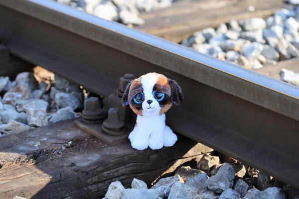 選擇一個你最擅長的魔法,測測你現在最需要放下什麼? 選擇一個你最擅長的魔法,測測你現在最需要放下什麼?