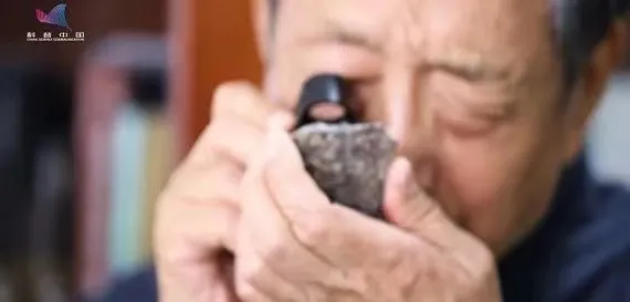 地球密碼揭密者：一塊石頭告訴你，生命大爆發之前，地球到底發生了什麼？