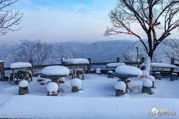 神農山失戀的第54天