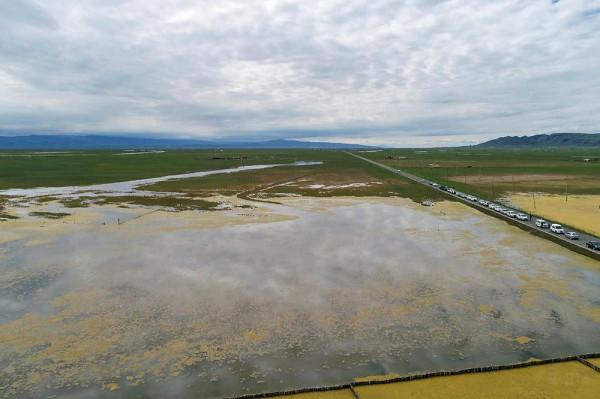 標緻4008環青海長測Day9：鳥島叫“蚊子島”，沿青海沿線達剛察！