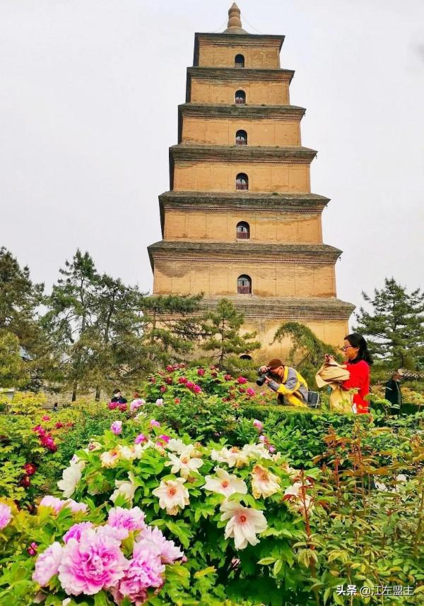 期待春天來了的時候，和你一日看盡長安花
