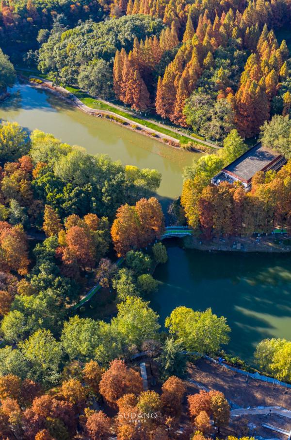 武漢人究竟多愜意?46萬平方米的城市公園猶如森林一般,景色醉人 武漢人究竟多愜意?46萬平方米的城市公園猶如森林一般,景色醉人