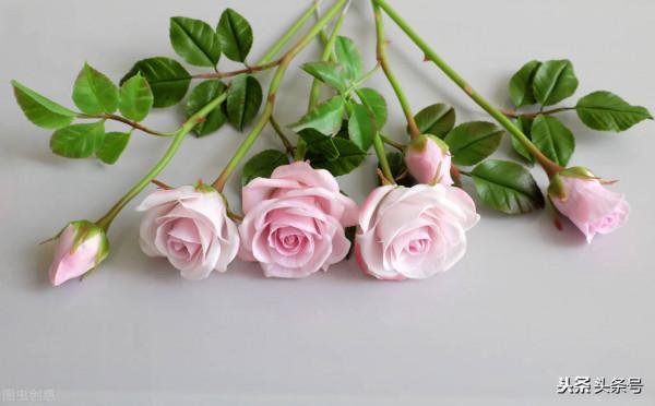 你的態度決定別人對你的態度 你的態度決定別人對你的態度