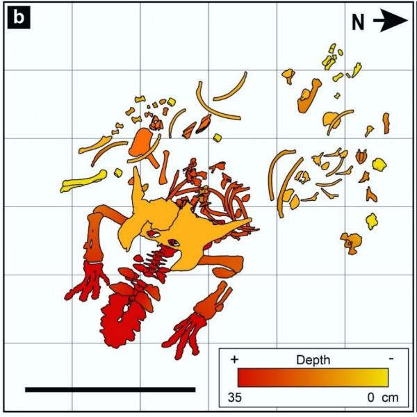 這隻恐龍，尾巴上長了一把“黑曜石鋸劍”