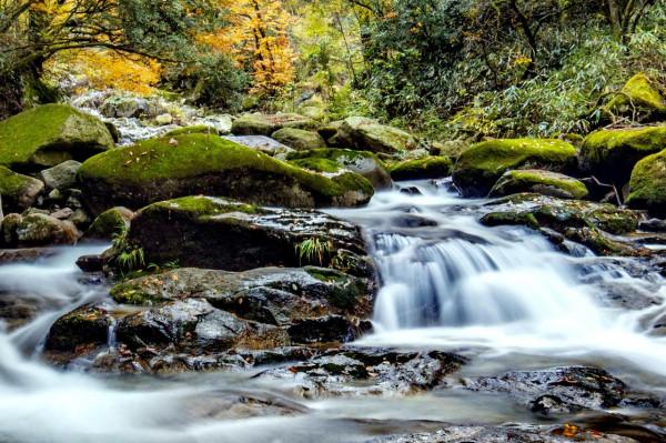 秘境南壩溝——四川光霧山 秘境南壩溝——四川光霧山