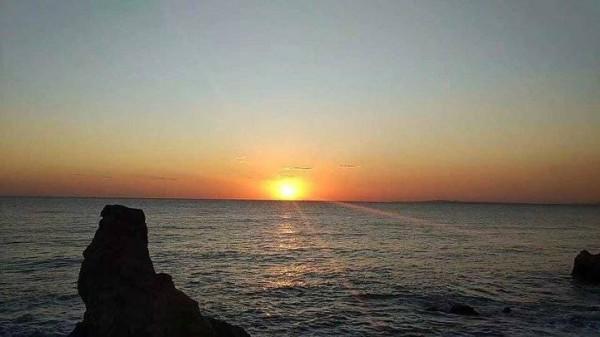 我的父親 我的父親