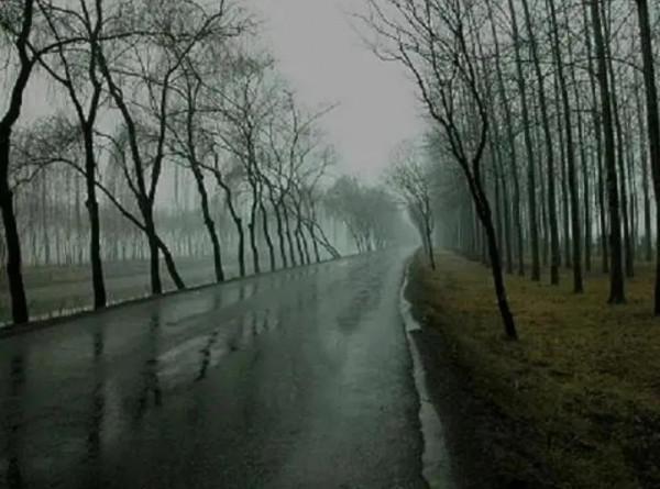 我與我的家（十七）