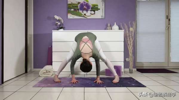 10個脊柱最喜歡的瑜伽動作，初學者也能練