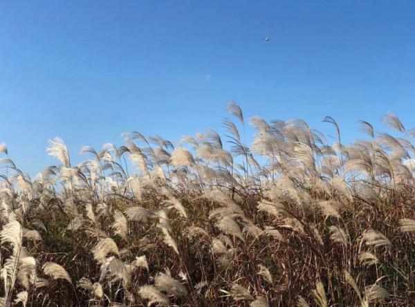 這幾條高顏值騎行線路,你都去過嗎? 這幾條高顏值騎行線路,你都去過嗎?