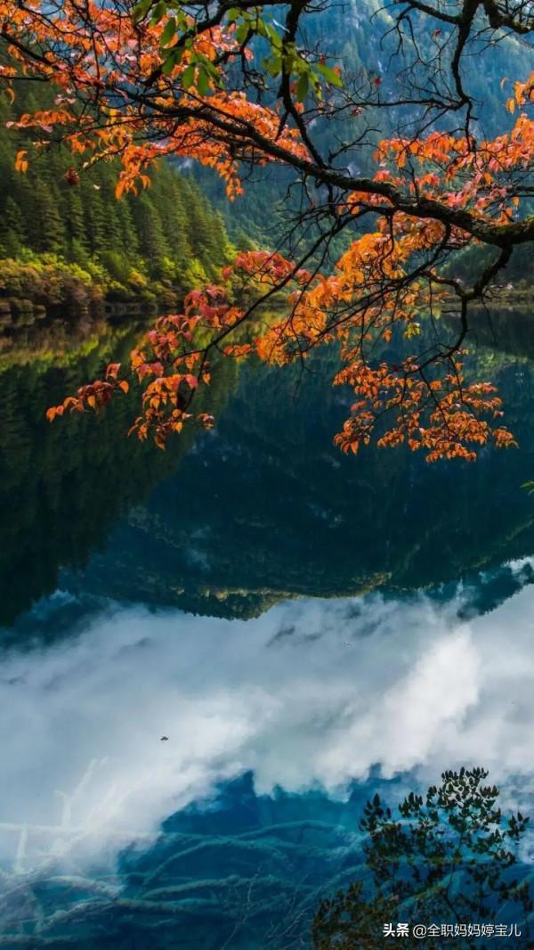 分享——人間仙境九寨溝