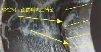 歷代玉器的時代特徵：（9）良渚文化玉器「五」
