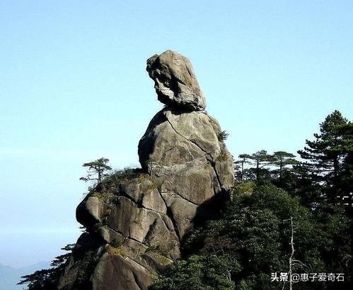 最貴的化石拍出2&period;16億，但有些&OpenCurlyDoubleQuote;化石&rdquo;並非化石