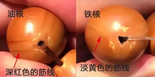 最珍貴的橄欖核 最珍貴的橄欖核