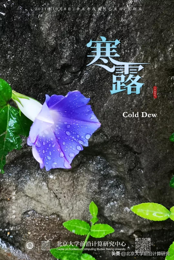 寒露 | 稱程式設計為藝術的圖靈獎獲得者