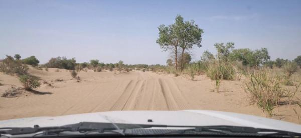 中國唯一的原始部落克里雅人，他們近況如何（青新甘13、14、15）