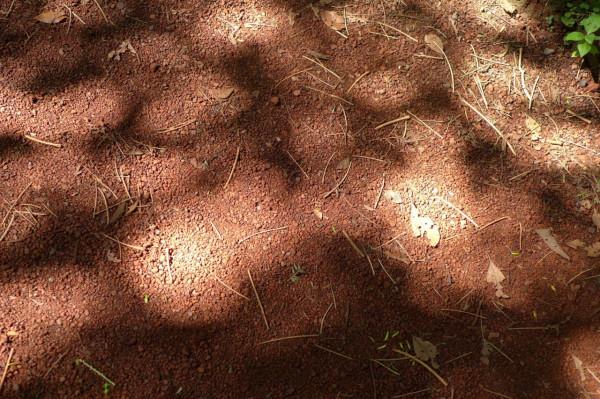 2014韓國旅遊四：“石頭爺爺”和“矮腳馬”