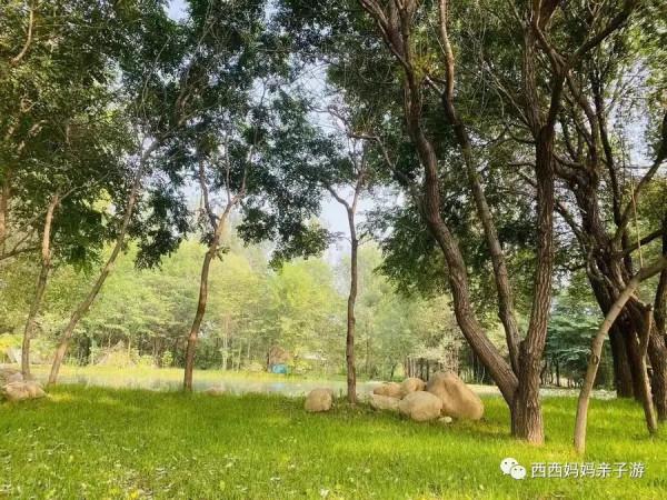 房山、通州露營地介紹｜愛上露營 京郊露營