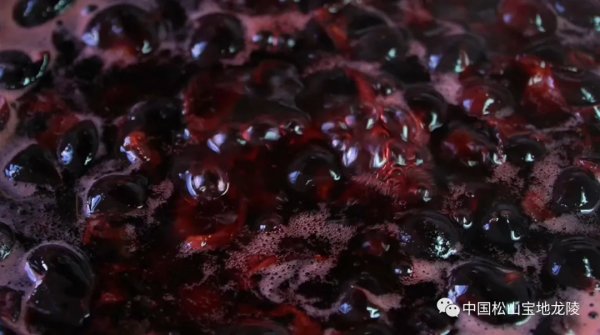 龍陵人的秋天，絕對少不了一碗酸甜可口的山李子