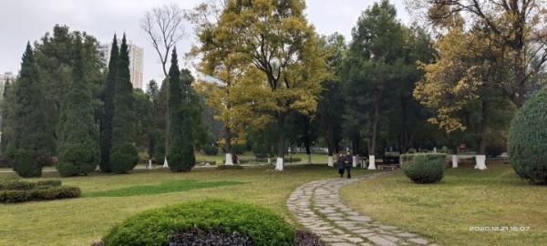 冬天的龍潭公園景色迷人