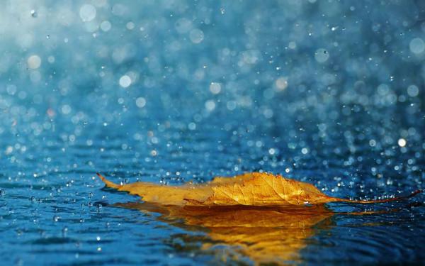 因果定律:你的脾氣決定你的命運 因果定律:你的脾氣決定你的命運