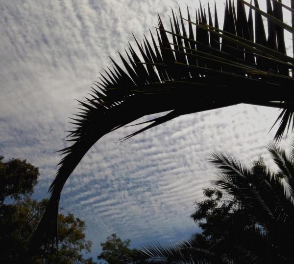 世界那麼大，我想去看看---南美（秘魯、智利）篇