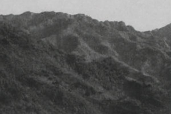 上甘嶺戰役血戰43天,美軍傷亡兩萬五千多人,從此跌落神壇 上甘嶺戰役血戰43天,美軍傷亡兩萬五千多人,從此跌落神壇