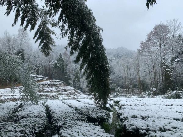 「圖說新年」新年家鄉美景分享，順便談談家鄉貴州的過年風俗