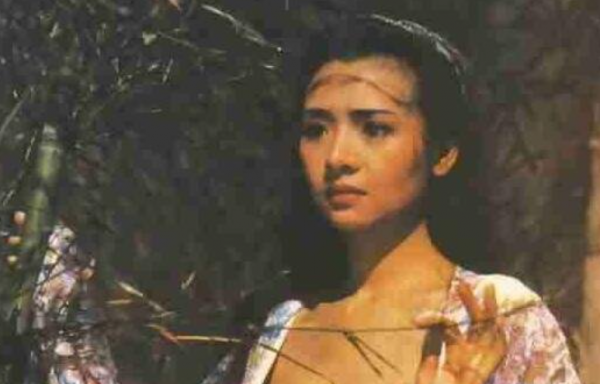 花200萬為身體做保險，男友去世後遺產一分不要，葉子楣現狀如何