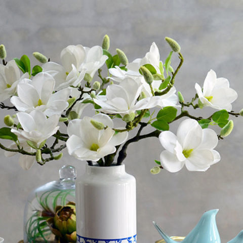 1種枝條&OpenCurlyDoubleQuote;遇水開花&rdquo;花後孫儷做成乾花，讓它們成為永恆