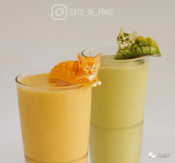 這樣的貓片，真下飯