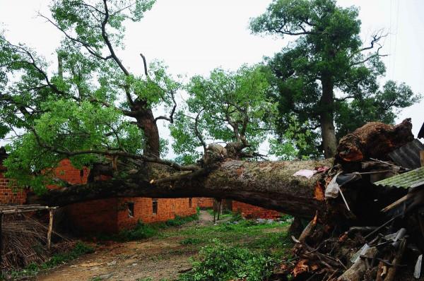 開發商又出新套路，只降首付不降價，&OpenCurlyDoubleQuote;殺雞取卵&rdquo;式營銷可行麼？