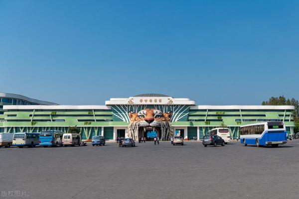 朝鮮動物園,以前有中國贈的大熊貓、華南虎、揚子鱷 朝鮮動物園,以前有中國贈的大熊貓、華南虎、揚子鱷