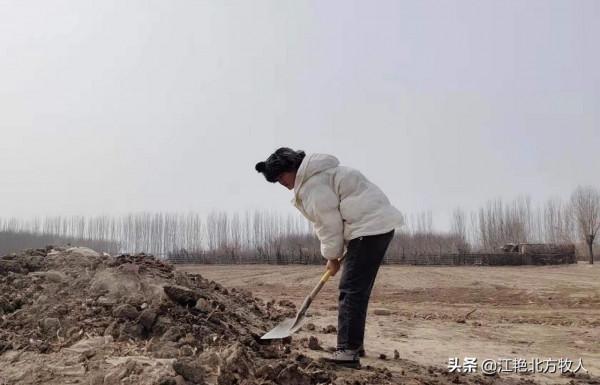 漢族男人娶個蒙古族媳婦為啥這麼難？聽江豔詳細道出其中的原因