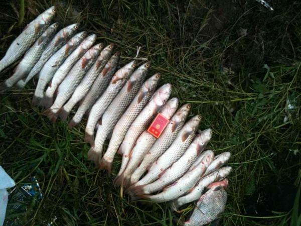 秋分到，秋收忙，野釣釣點這麼找，打窩誘魚能事半功倍