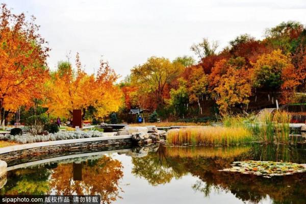 北京附近竟藏了一條絕美國道，沿途盡是美景！賞紅葉正好！