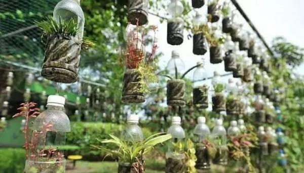 塑膠瓶剪幾刀，做成“垂吊”花盆，養綠蘿、吊蘭太方便了