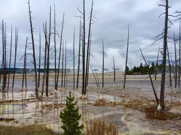 #微信朋友圈的回憶# 2015年10月4日到6日 黃石公園