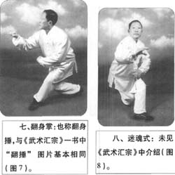 自然門另有分支 自然門另有分支