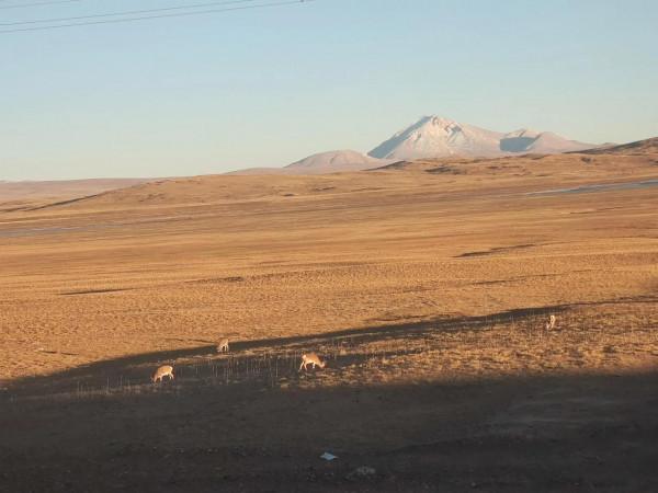 自駕小車從拉薩到格爾木青藏公路記 自駕小車從拉薩到格爾木青藏公路記