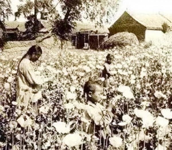 大地主劉文彩後人如今在哪?學者多,經商的少,孫子被活活勒死 大地主劉文彩後人如今在哪?學者多,經商的少,孫子被活活勒死