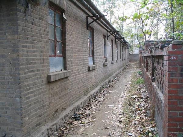 1971年，王樹聲去部隊看望女兒，衛兵攔下：排隊填表