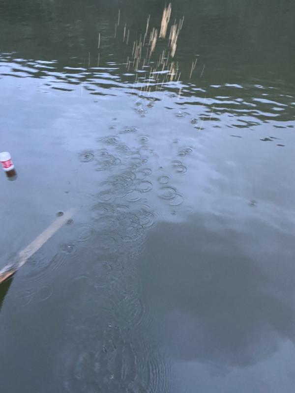 「秋釣」升鍾湖垂釣，改變線組，漁獲滿倉