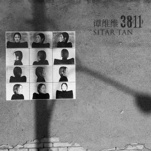 盤點參加過《歌手》的女歌手在金曲獎的戰績——第二篇